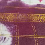 Women Rose Color Cotton Fancy Saree with Chic Design for Party Wear