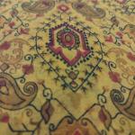 Cotton Fancy Saree with Classic  Wear