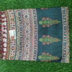 Women Lightweight Cotton Fancy Saree with Elegant Finish