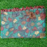 Women Soft Silk Saree with Rich Traditional Finish