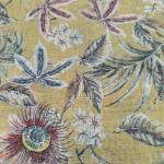 Women Light Brown Yellow Shade Cotton Fancy Saree with Simple Design & Smart Look