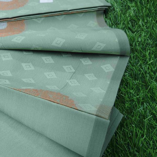 Women Soft Silk Saree with Detailed Border Weaving
