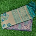 Women Soft Silk Saree with Distinctive Border Craft