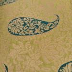 Women Soft Silk Saree with Finely Crafted Pallu Style