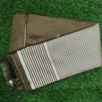 Women Soft Silk Saree with Premium Craft Detailing