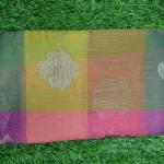 Fancy Cotton Saree