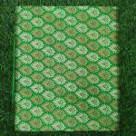 Women Fashionable Cotton Saree with Lightweight Comfort