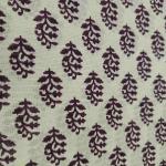 Women Elegant Printed Cotton Saree with Modern Look