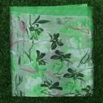Women Printed Cotton Saree for Relaxed Looks with Unique Prints