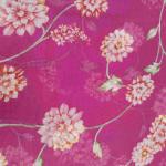 Women Fancy Cotton Saree for Party Styling with Chic Finish