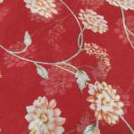 Women Cotton Saree for Daily Wear with Elegant Comfort Feel