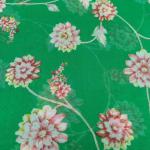 Women Silk Cotton Saree for Wedding Fashion with Smooth Luxury