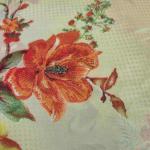Women Silk Cotton Saree for Rich Traditional Appeal with Fine Finish
