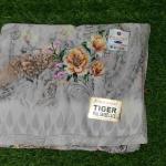 Women Silk Cotton Saree for Traditional Fashion with Smooth Shine