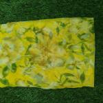 Women Silk Cotton Saree for Cultural Beauty with Premium Detailing