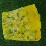 Women Silk Cotton Saree for Cultural Beauty with Premium Detailing
