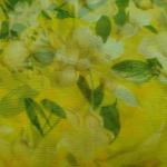 Women Silk Cotton Saree for Cultural Beauty with Premium Detailing