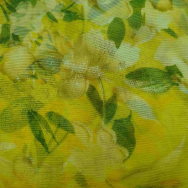 Women Silk Cotton Saree for Cultural Beauty with Premium Detailing