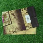 Women Silk Cotton Saree for Timeless Elegance with Festive Appeal