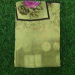 Women Silk Cotton Saree for Timeless Elegance with Festive Appeal