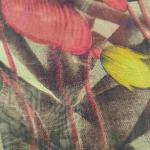 Women Silk Cotton Saree for Wedding Functions with Rich Shine