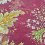 Women Cotton Saree for Everyday Simplicity with Soft Fabric