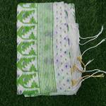 Festive Special Pochampally Ikat Saree