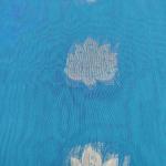 Women Silk Cotton Saree for Festive Charm with Regal Finish