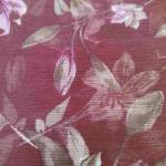 Women Silk Cotton Saree for Festive Styling with Classic Premium Appeal