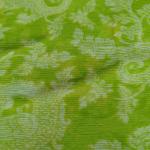 Women Fancy Cotton Saree for Festive Look with Stylish Detailed Finish