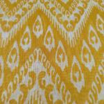 Women Silk Cotton Saree for Cultural Wear with Classic Rich Texture