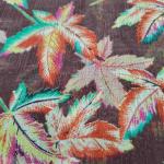 Women Linen Cotton Saree for Daily Styling with Clean Look