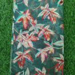 Women Fancy Cotton Saree for Evening Styling with Chic Design