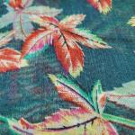 Women Fancy Cotton Saree for Party Styling with Stylish Border Finish