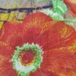 Cotton SareeWomen Silk Cotton Saree for Festive Collection with Premium Look