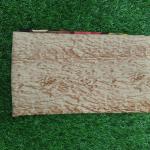 Women Cotton Saree for Comfortable Wear with Lightweight Texture