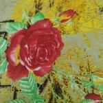 Women Silk Cotton Saree for Festive Look with Smooth Rich Texture