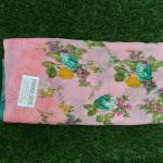 Women Fancy Cotton Saree for Party Look with Elegant Border Finish
