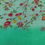 Women Fancy Cotton Saree for Festive Wear with Stylish Appeal
