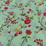 Women Printed Cotton Saree for Daily Fashion with Unique Prints