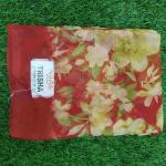 Women Silk Cotton Saree for Traditional Style with Rich Finish