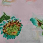 Women Fancy Cotton Saree for Occasion Styling with Elegant Touch