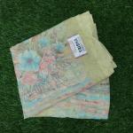 Women Silk Cotton Saree for Festive Style with Elegant Design