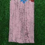 Women Printed Cotton Saree for Casual Dressing with Fresh Patterns