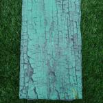 Women Printed Cotton Saree for Office Fashion with Elegant Prints