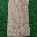 Women Fancy Cotton Saree for Occasion Wear with Chic Style