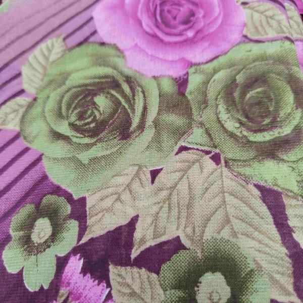 Women Silk Cotton Saree for Festive Moments with Rich Appeal