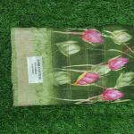 Women Fancy Cotton Saree for Elegant Wear with Designer Touch