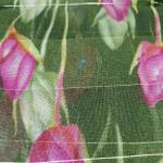 Women Fancy Cotton Saree for Elegant Wear with Designer Touch