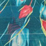 Women Silk Cotton Saree for Cultural Wear with Premium Look